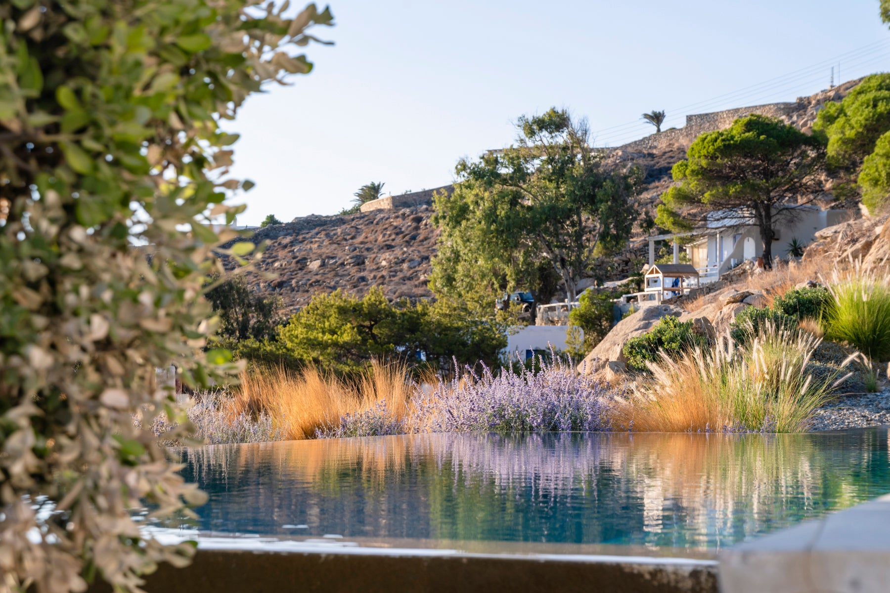 The Cove